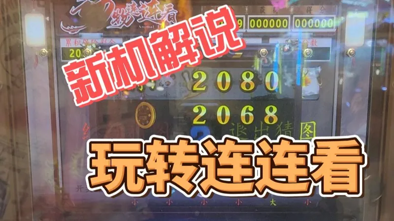 动物连连看新手攻略，小循环机器，轻松拿捏