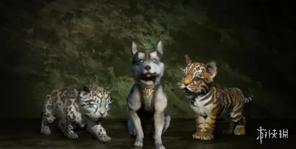 《暗黑破坏神4》免费宠物推荐