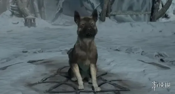 《暗黑破坏神4》免费宠物推荐-爱犬埃西亚与憎恨先驱详解