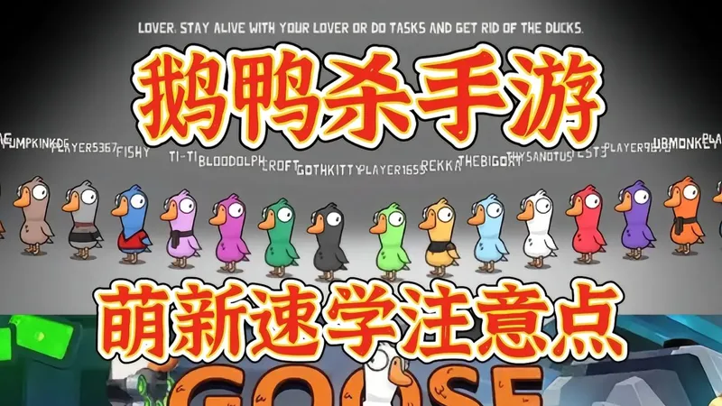 【鹅鸭杀】萌新速学攻略！