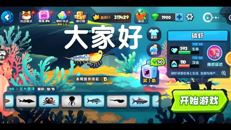 第八海域正式开始?