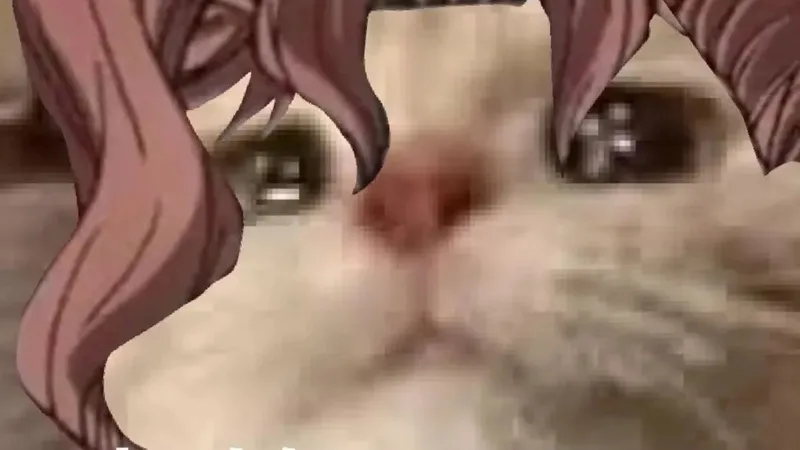 装糖的第一期也让老玩家看看现在的新手教程