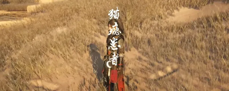 《燕云十六声》河西猫瘾患者奇遇攻略-猫猫阿蒲奇遇完成方法