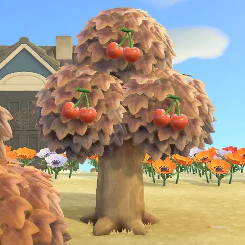 《新地平线》全果树种类及获取方法详解