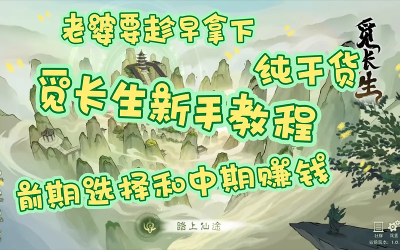 觅长生，新手教程，出生选择和如何赚钱 ，纯干货 ，前中期指引，老婆要趁早拿下