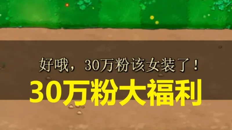 30万粉超级大福利!