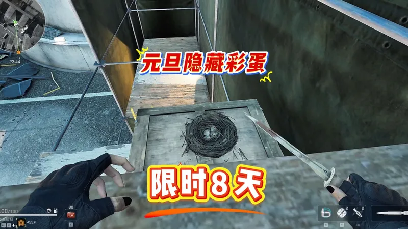 元旦隐藏彩蛋，限时产出8天，只在鸟窝出，第一天爆率还不错