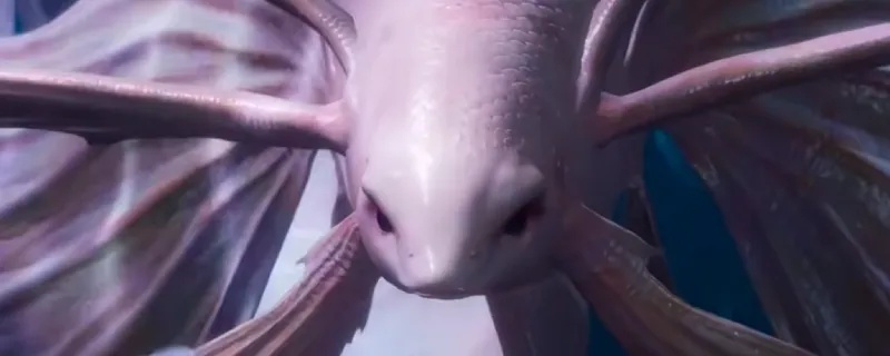 《燕云十六声》赤鲤公镇守解锁攻略