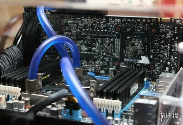 《独自一人》黑屏怎么办