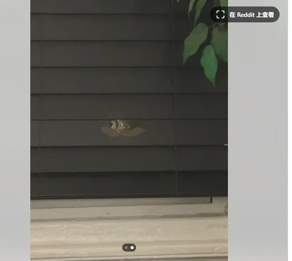 PC主机意外挡子弹