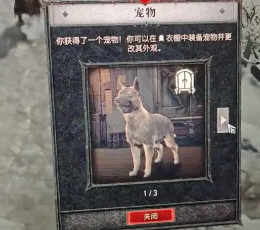 《暗黑破坏神4》宠物装备获取攻略-宠物外观及获取方法详解