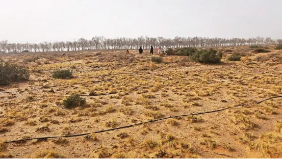 《无尽的拉格朗日》四年坚守初心