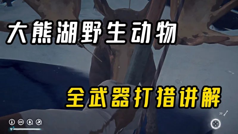 【漫长教学】打猎的技巧，让你不再害怕野生动物