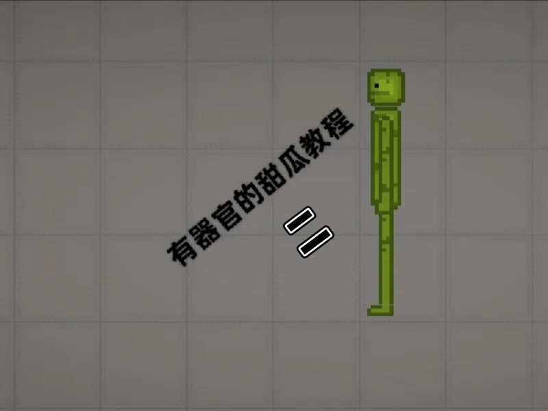 有器官的甜瓜教学（二）头部篇