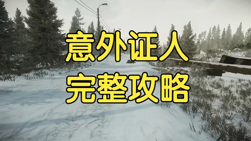 逃离塔科夫正式版剧情【意外证人】完整版无剪辑全流程详细攻略！