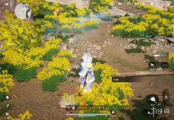 《燕云十六声》踏岳寻珍长老宝物位置详解