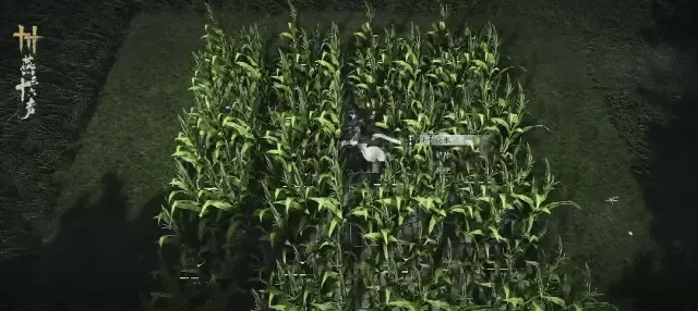 《燕云十六声》快速浇水技巧