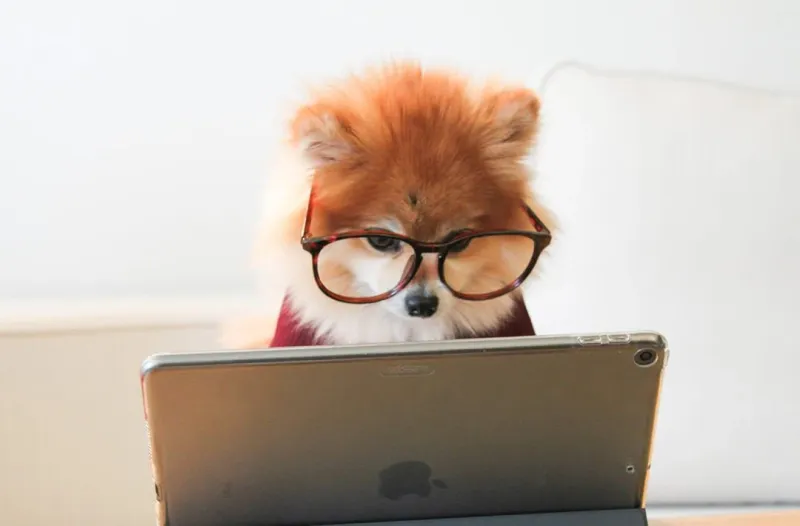 15年经验独游开发者建议-游戏新手必读的4条开发指南