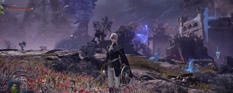 《艾尔登法环：黑夜君临》隐士流派解析-法隐玩法与遗物搭配详解