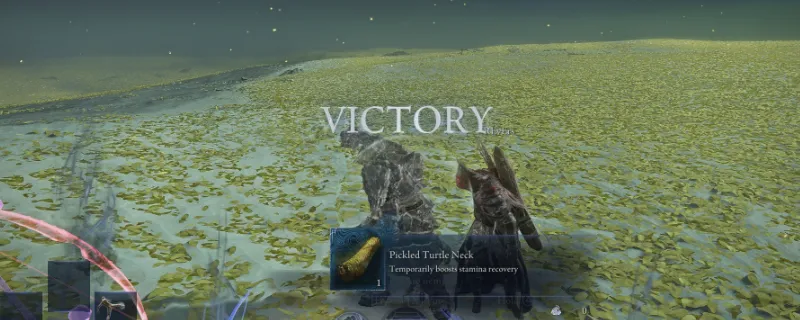 《艾尔登法环：黑夜君临》女爵流派详解-三大流派玩法推荐