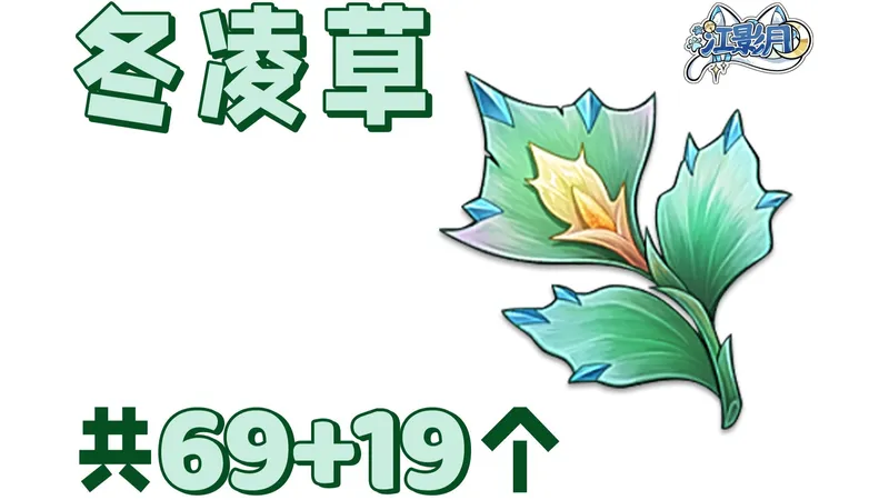 【原神 冬凌草】共69+19个！哥伦比娅的突破材料/挪德卡莱特产/分路线收集/贴心领跑防迷路