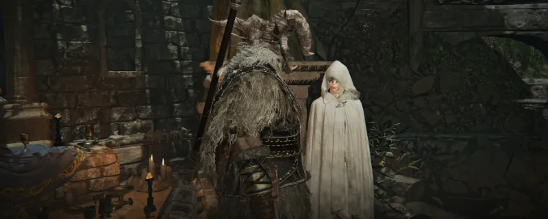 《艾尔登法环：黑夜君临》超有用小知识分享-资源与角色技巧详解