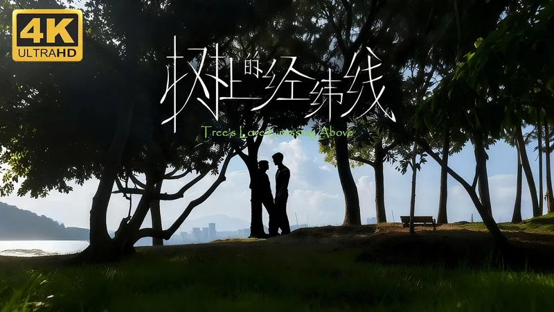 【树上的经纬线】4K 最高画质 全剧情流程通关攻略 国产首部多线并行互动叙事影游 - Tree's Love Crossing Above Demo版