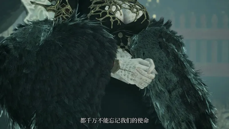 《噬血代码2》泽侬角色介绍