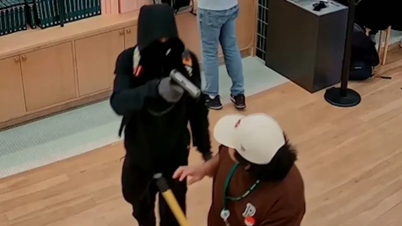 《宝可梦》卡牌店遭持枪抢劫-纽约店损失超72万元