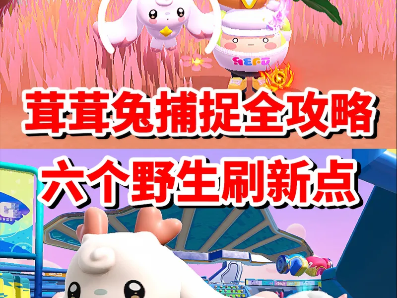 茸茸兔捕捉全攻略❗️六个野生刷新点