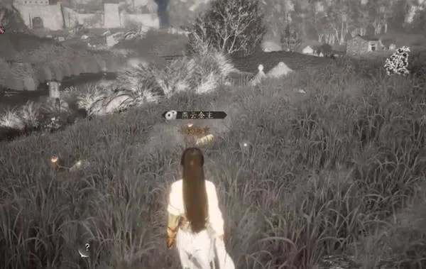 燕云十六声速刷鹖尾攻略