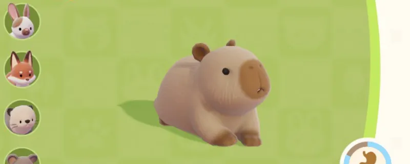 《心动小镇》水豚位置及喜爱食物详解-温泉山湖区寻找指南