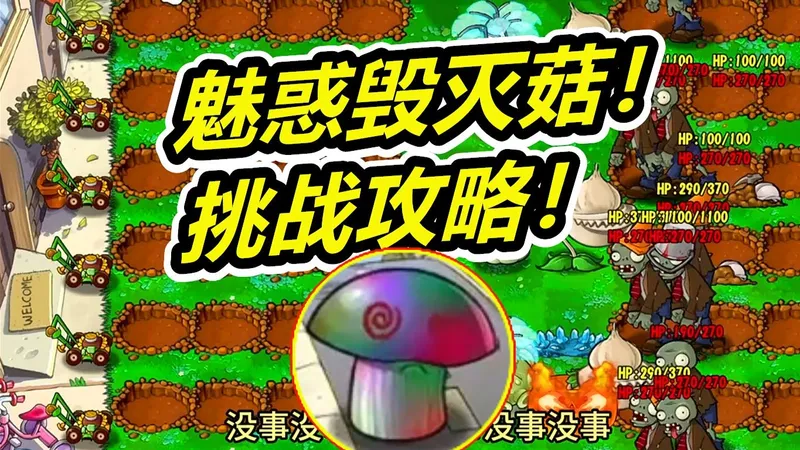 杂交版：魅惑毁灭菇挑战攻略！植物大战僵尸呱呱菌