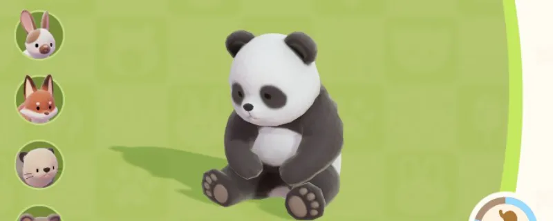 《心动小镇》熊猫位置及喜爱食物详解-熊猫在哪里及食物分享