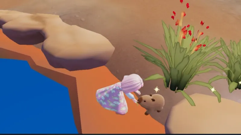 《心动小镇》水豚位置及喜爱食物详解