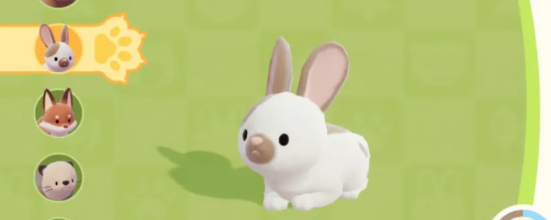 《心动小镇》兔子位置详解-兔子喜爱食物分享