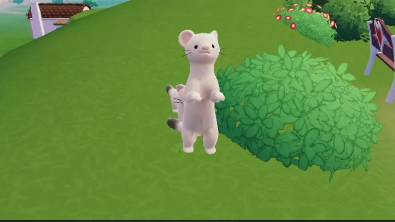 《心动小镇》雪貂位置及喜爱食物详解