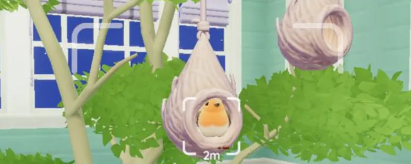 《心动小镇》观鸟玩法详解
