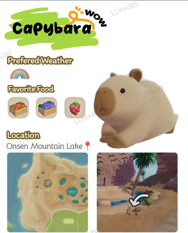 《心动小镇》动物食槽位置详解