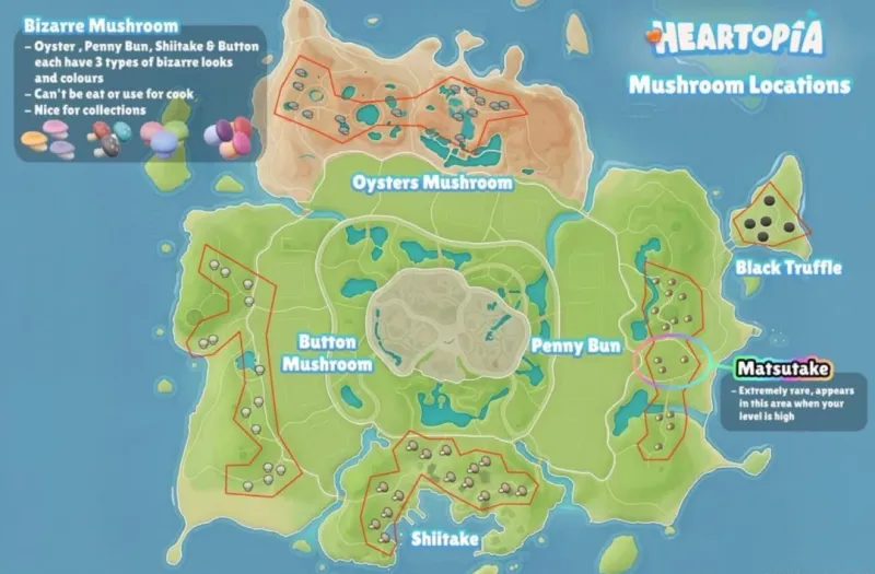 《心动小镇》蘑菇采集指南