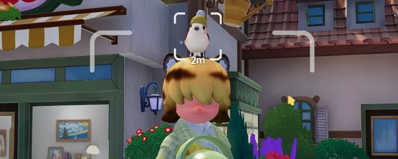 《心动小镇》观鸟发现鸟类方法