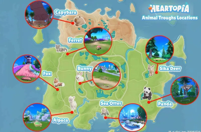 《心动小镇》动物食槽位置详解