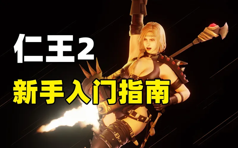 【仁王2攻略】降低开荒难度，新手入门指南，一个视频全搞定！