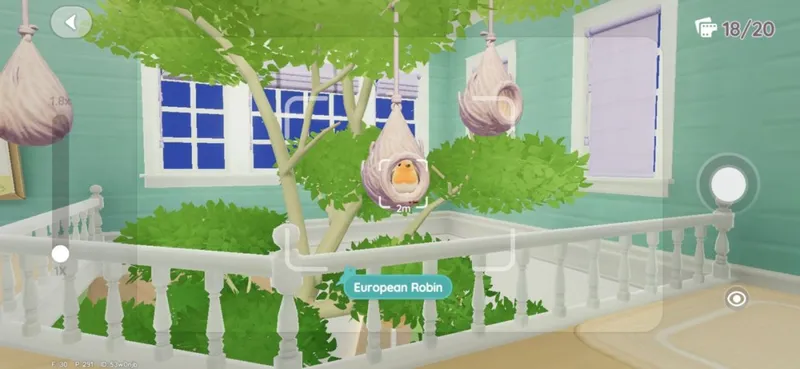 《心动小镇》观鸟玩法详解