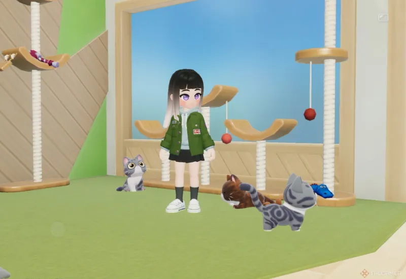 《心动小镇》爱好解锁升级顺序推荐