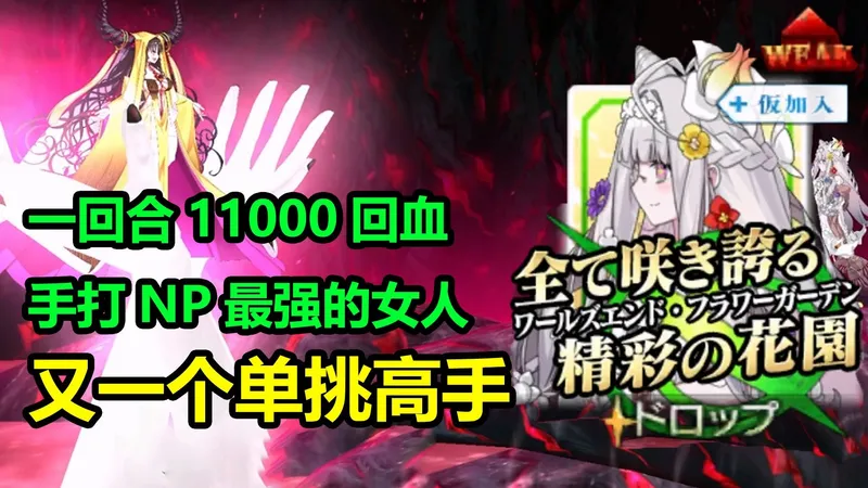 日服免费从者芙萝拉单挑测试：无脑宝具连发回血神人
