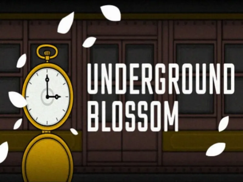 【解谜】地铁繁花 Underground Blossom 无解说版◎