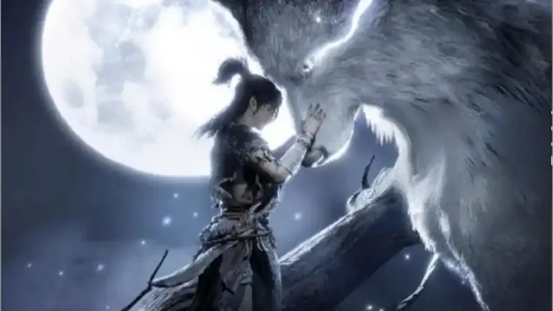 《燕云十六声》白狼主隐藏任务攻略