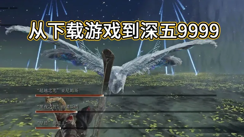 【黑夜君临新手教程】从入坑到深五9999，无赖大人也能看懂的萌新全流程攻略