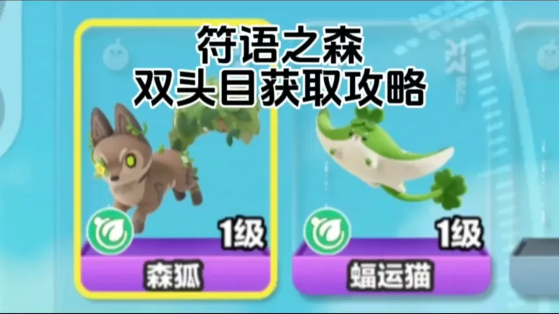 蝠运猫和森狐获取攻略